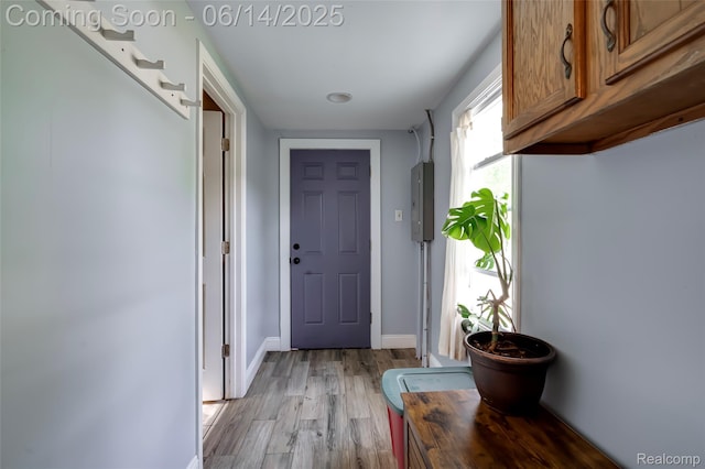 1217 E Madge Ave, Hazel Park, MI 48030 - doorway to outside featuring electric panel and light wood-style flooring