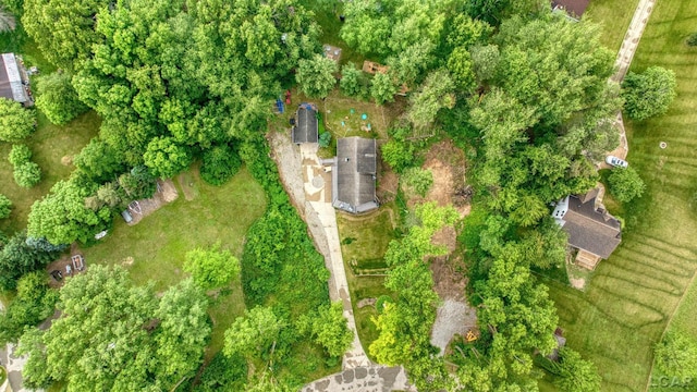 13832 Grandview Dr, Cement City, MI 49233 - aerial overview of property's location