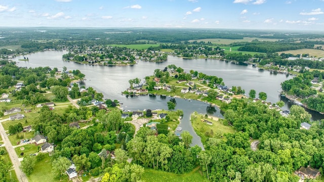 13832 Grandview Dr, Cement City, MI 49233 - bird's eye view of a nearby body of water