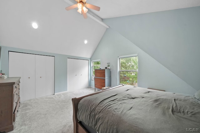13832 Grandview Dr, Cement City, MI 49233 - bedroom with light colored carpet, multiple closets, and recessed lighting