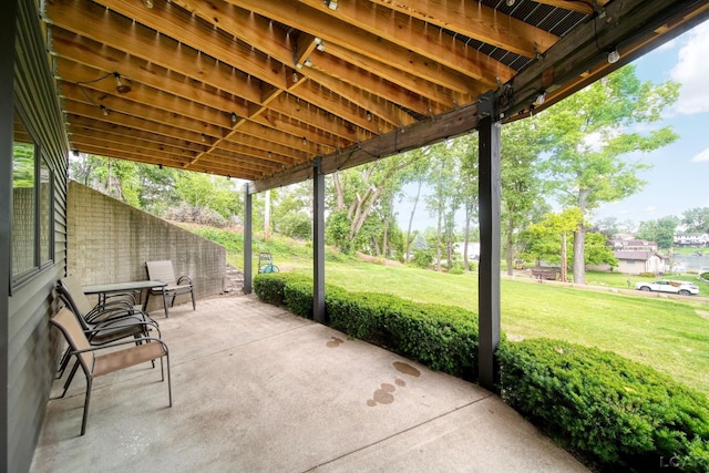 13832 Grandview Dr, Cement City, MI 49233 - view of patio