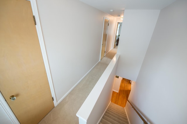 2104 Winchell Dr, Ann Arbor, MI 48104 - stairs with carpet and baseboards