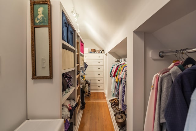 2104 Winchell Dr, Ann Arbor, MI 48104 - spacious closet with vaulted ceiling and light wood-style flooring