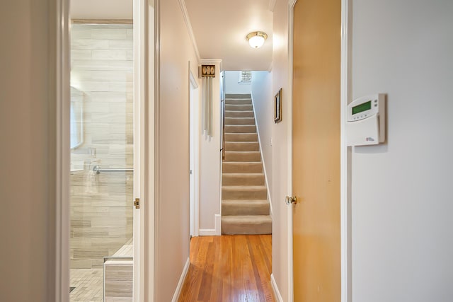 2104 Winchell Dr, Ann Arbor, MI 48104 - hallway with light wood-style floors and stairs