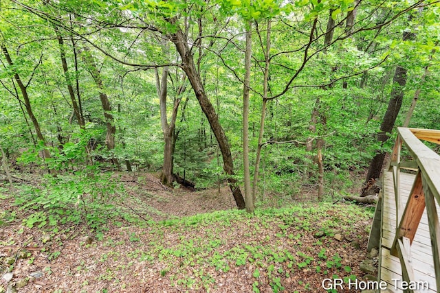 8607 S Ferris Ave, Newaygo, MI 49337 - view of wooded area