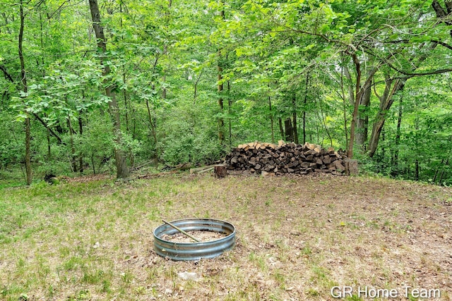 8607 S Ferris Ave, Newaygo, MI 49337 - view of yard with a view of trees
