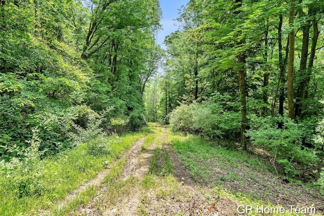 8607 S Ferris Ave, Newaygo, MI 49337 - view of tree filled area