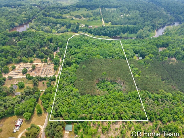 8607 S Ferris Ave, Newaygo, MI 49337 - aerial view of property's location with property boundaries highlighted