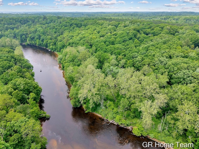 8607 S Ferris Ave, Newaygo, MI 49337 - aerial view of a heavily wooded area and a large body of water