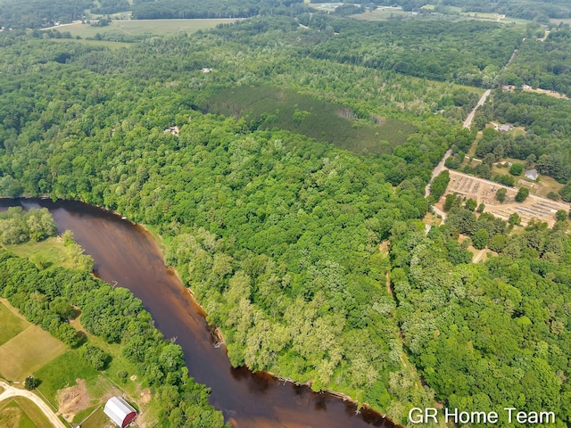 8607 S Ferris Ave, Newaygo, MI 49337 - drone / aerial view of a heavily wooded area and a large body of water
