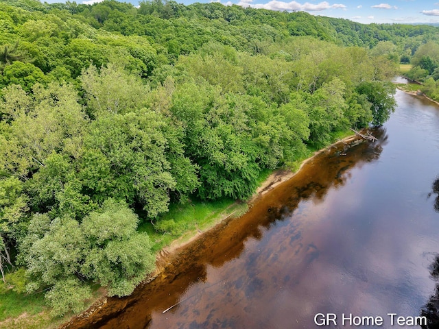 8607 S Ferris Ave, Newaygo, MI 49337 - aerial view of property's location featuring a forest and a large body of water