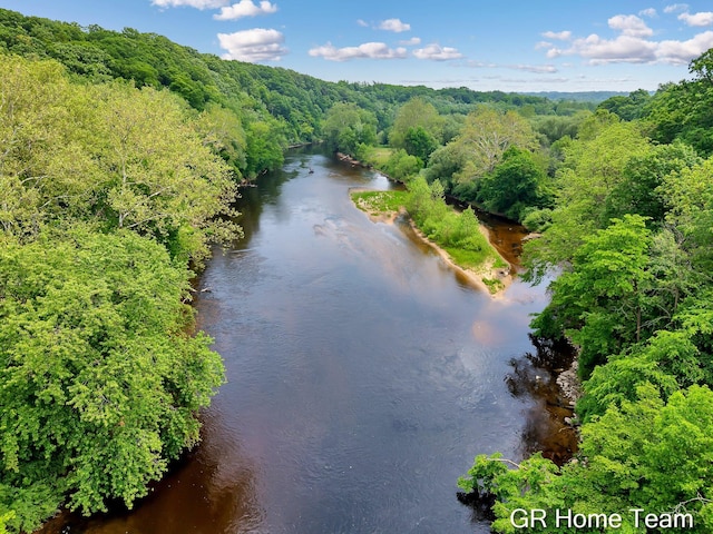 8607 S Ferris Ave, Newaygo, MI 49337 - aerial view of a heavily wooded area and a nearby body of water