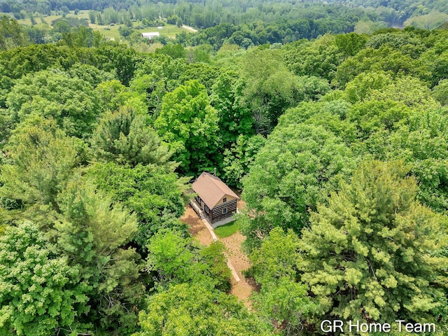 8607 S Ferris Ave, Newaygo, MI 49337 - view of subject property with a heavily wooded area