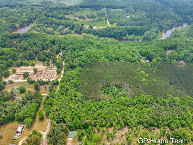 8607 S Ferris Ave, Newaygo, MI 49337 - aerial view of property's location featuring a forest