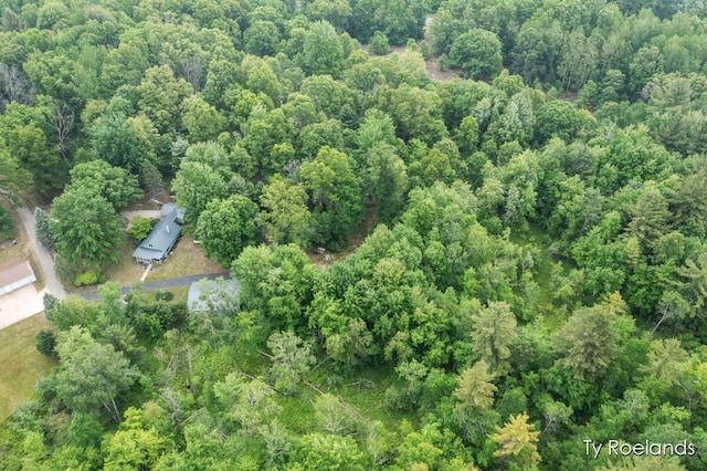 10667 220th Ave, Big Rapids, MI 49307 - aerial view of property and surrounding area with a forest