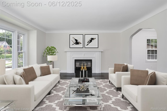 249 Ridgemont Rd, Grosse Pointe, MI 48236 - living room with arched walkways, wood finished floors, and a glass covered fireplace