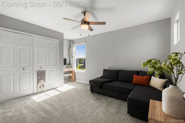 8261 Starina Ct, Brighton, MI 48116 - photo 17