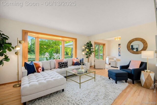 3255 School House Dr, Waterford, MI 48329 - living area featuring light wood-style flooring and baseboards