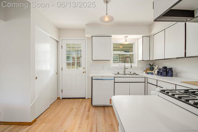 3255 School House Dr, Waterford, MI 48329 - kitchen with white dishwasher, light wood-style flooring, under cabinet range hood, white cabinets, and light countertops