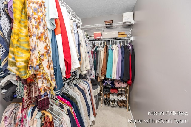 2321 S Highland View Cir SE, Grand Rapids, MI 49506 - spacious closet with carpet flooring