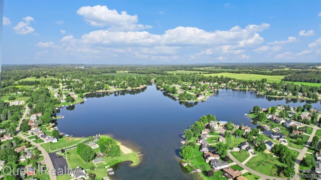 14050 Shannon Dr, Cement City, MI 49233 - aerial view of property and surrounding area with a large body of water and a heavily wooded area