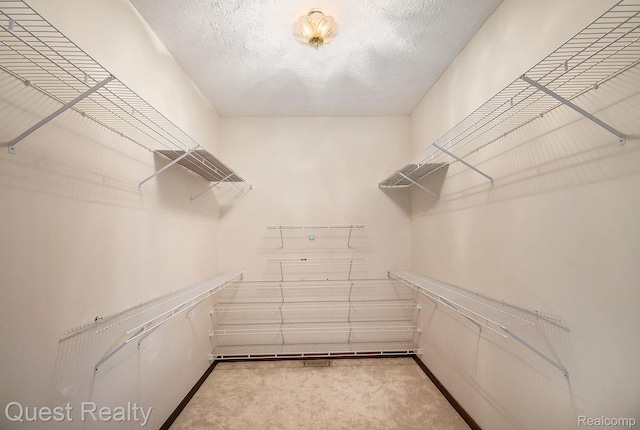 14050 Shannon Dr, Cement City, MI 49233 - spacious closet with carpet flooring