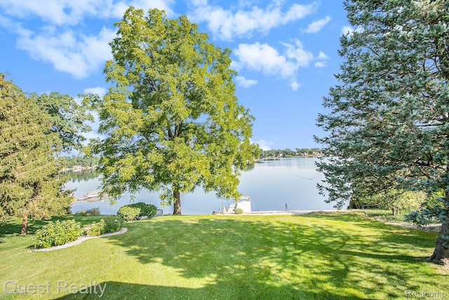 14050 Shannon Dr, Cement City, MI 49233 - water view