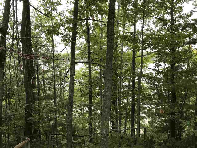 0 Lakeside Blvd, Hale, MI 48739