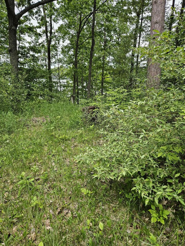0 Lakeside Blvd, Hale, MI 48739