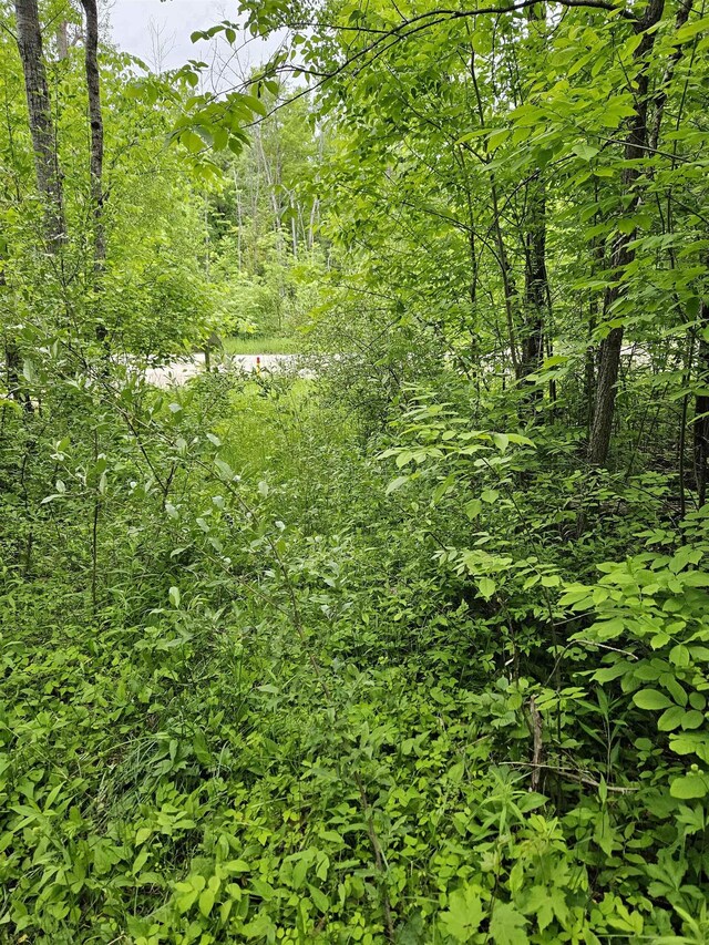 0 Lakeside Blvd, Hale, MI 48739
