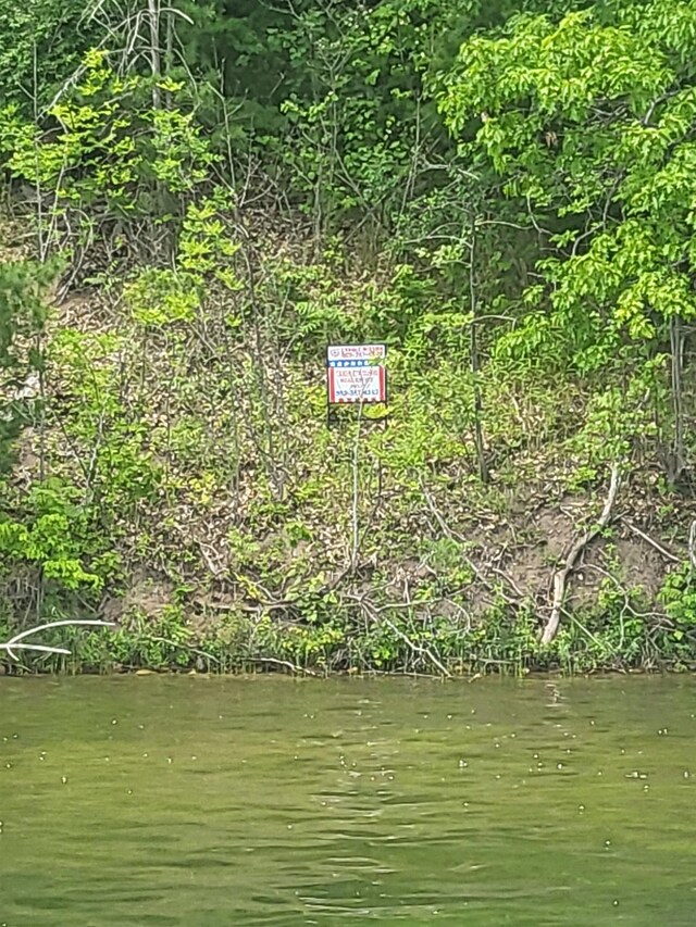 0 Lakeside Blvd, Hale, MI 48739