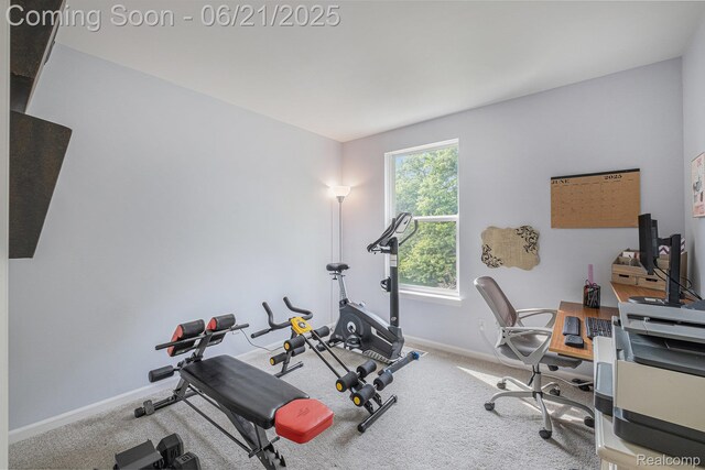 894 Canyon Creek Dr, Holly, MI 48442 - exercise room featuring carpet flooring