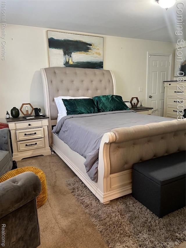 13203 Frazho Rd, Warren, MI 48089 - view of carpeted bedroom