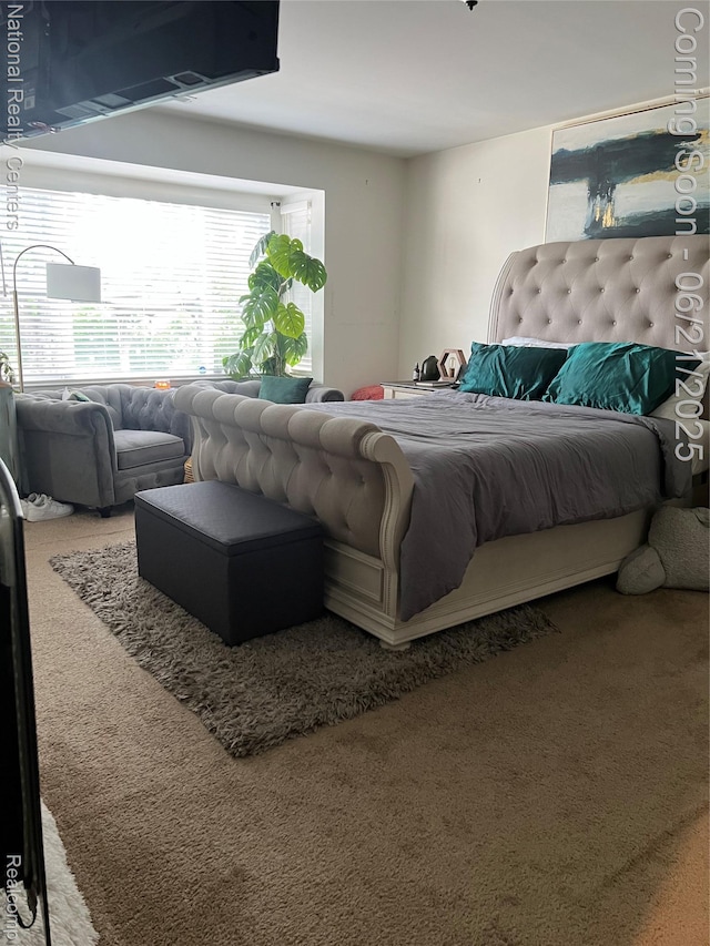 13203 Frazho Rd, Warren, MI 48089 - view of carpeted bedroom