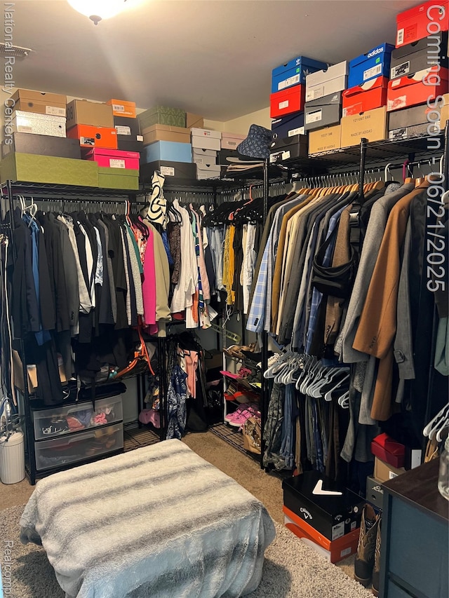 13203 Frazho Rd, Warren, MI 48089 - walk in closet featuring carpet