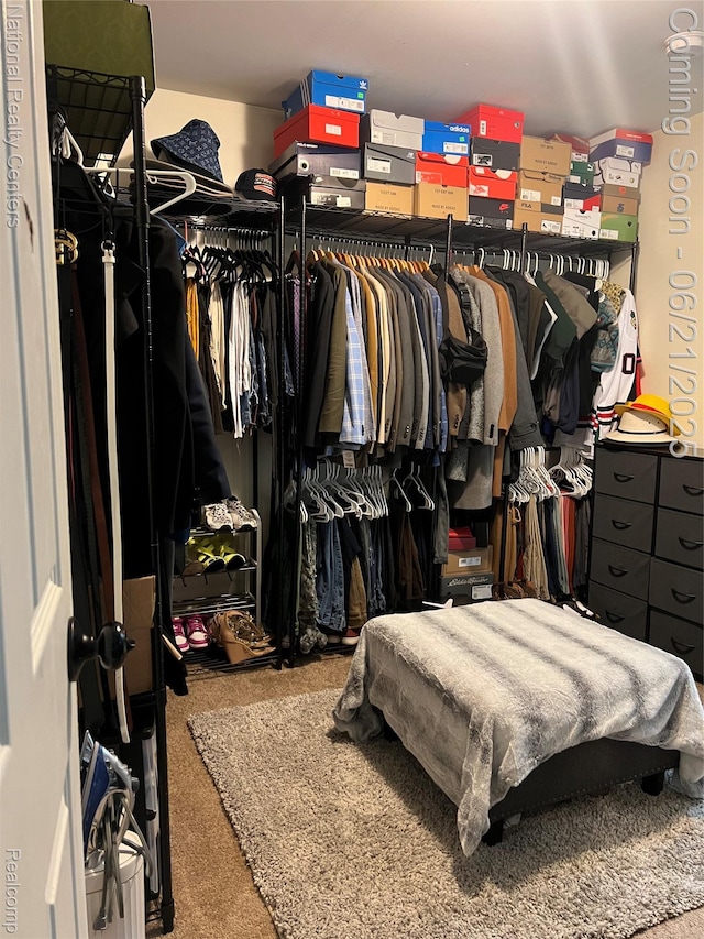 13203 Frazho Rd, Warren, MI 48089 - spacious closet with carpet
