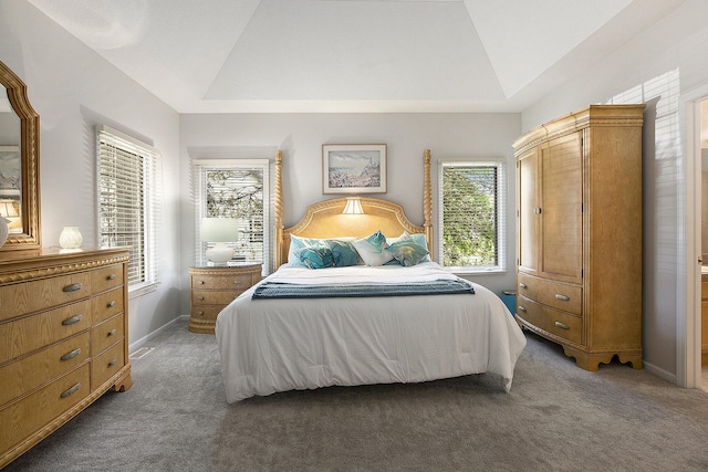 5448 Waterfield Ct, Ann Arbor, MI 48108 - carpeted bedroom with lofted ceiling