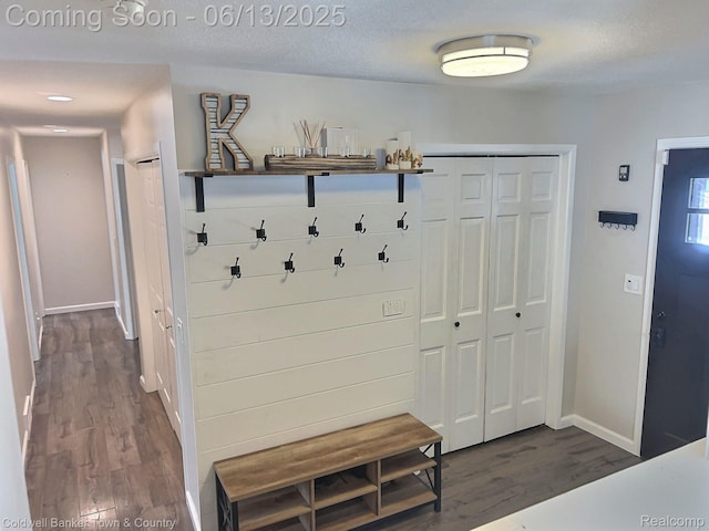 8811 Coyle Dr, Pinckney, MI 48169 - mudroom featuring dark wood-style flooring and baseboards