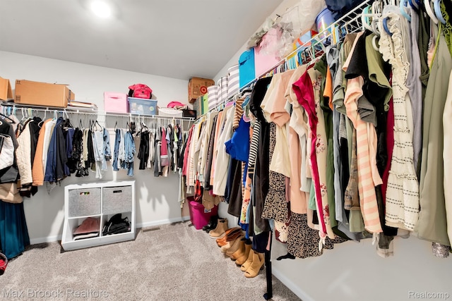 2799 Gallop Way, Saline, MI 48176 - walk in closet featuring carpet floors