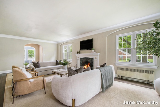 1101 Cadillac Dr SE, Grand Rapids, MI 49506 - living room with radiator heating unit, arched walkways, ornamental molding, and a high end fireplace