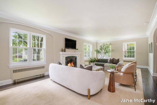1101 Cadillac Dr SE, Grand Rapids, MI 49506 - living room featuring radiator, wood finished floors, a high end fireplace, and crown molding