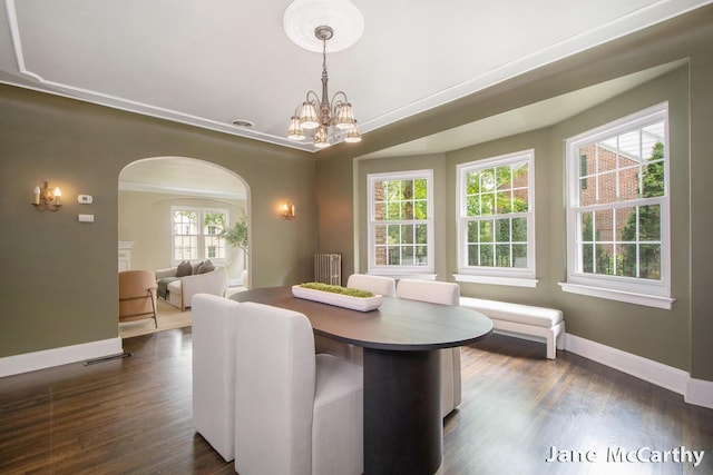 1101 Cadillac Dr SE, Grand Rapids, MI 49506 - dining room with radiator heating unit, arched walkways, a chandelier, and dark wood-style flooring