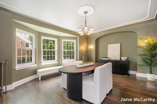 1101 Cadillac Dr SE, Grand Rapids, MI 49506 - dining area with radiator, a chandelier, and dark wood-type flooring