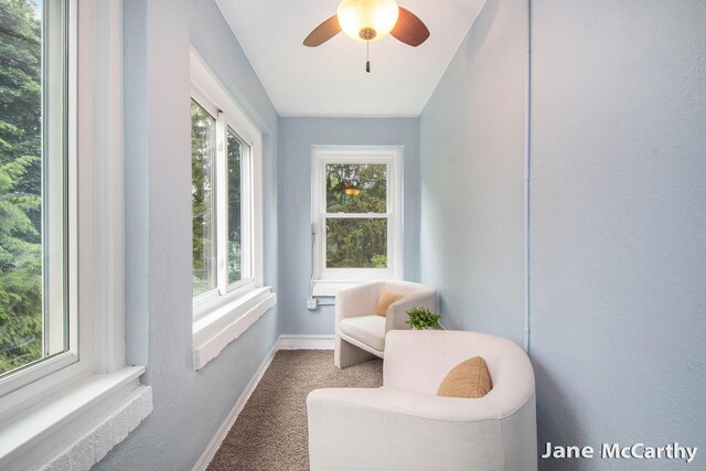 1101 Cadillac Dr SE, Grand Rapids, MI 49506 - sitting room with carpet floors and ceiling fan