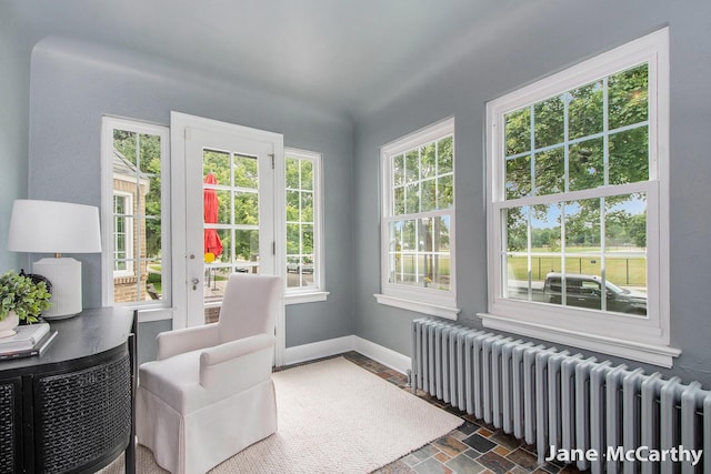 1101 Cadillac Dr SE, Grand Rapids, MI 49506 - sunroom featuring radiator heating unit and french doors