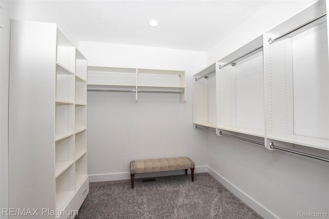 74 Candlelight, Brighton, MI 48114 - walk in closet with carpet