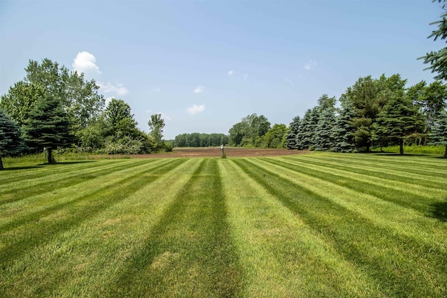 13123 N Jennings Rd, Clio, MI 48420 - view of green lawn