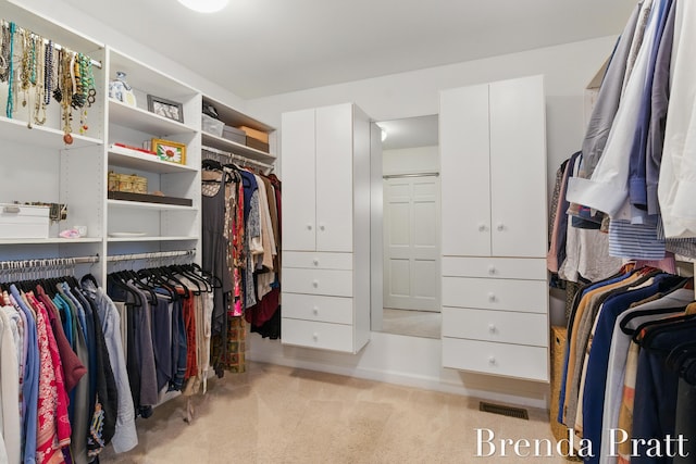 5691 Forest Gln SE, Ada, MI 49301 - spacious closet with carpet