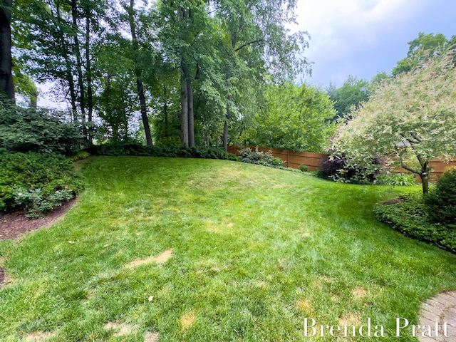 5691 Forest Gln SE, Ada, MI 49301 - view of yard