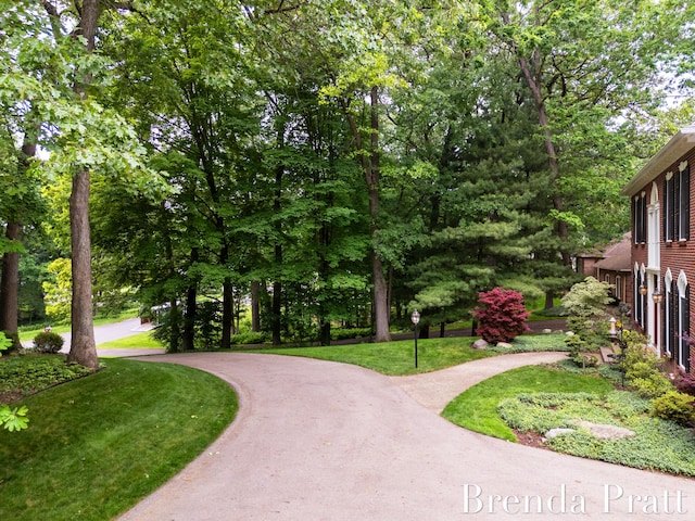 5691 Forest Gln SE, Ada, MI 49301 - view of property's community with curved driveway and a lawn